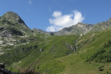 IMG_7369