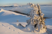 IMG_4467