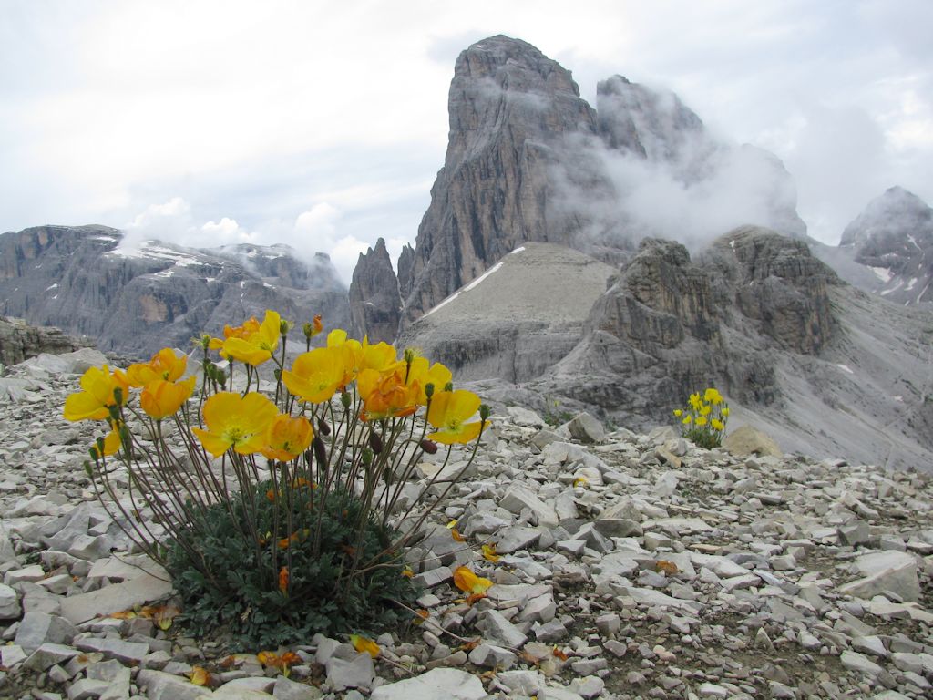 Masyw Tre Cime di Lavaredo