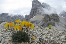 Masyw Tre Cime di Lavaredo