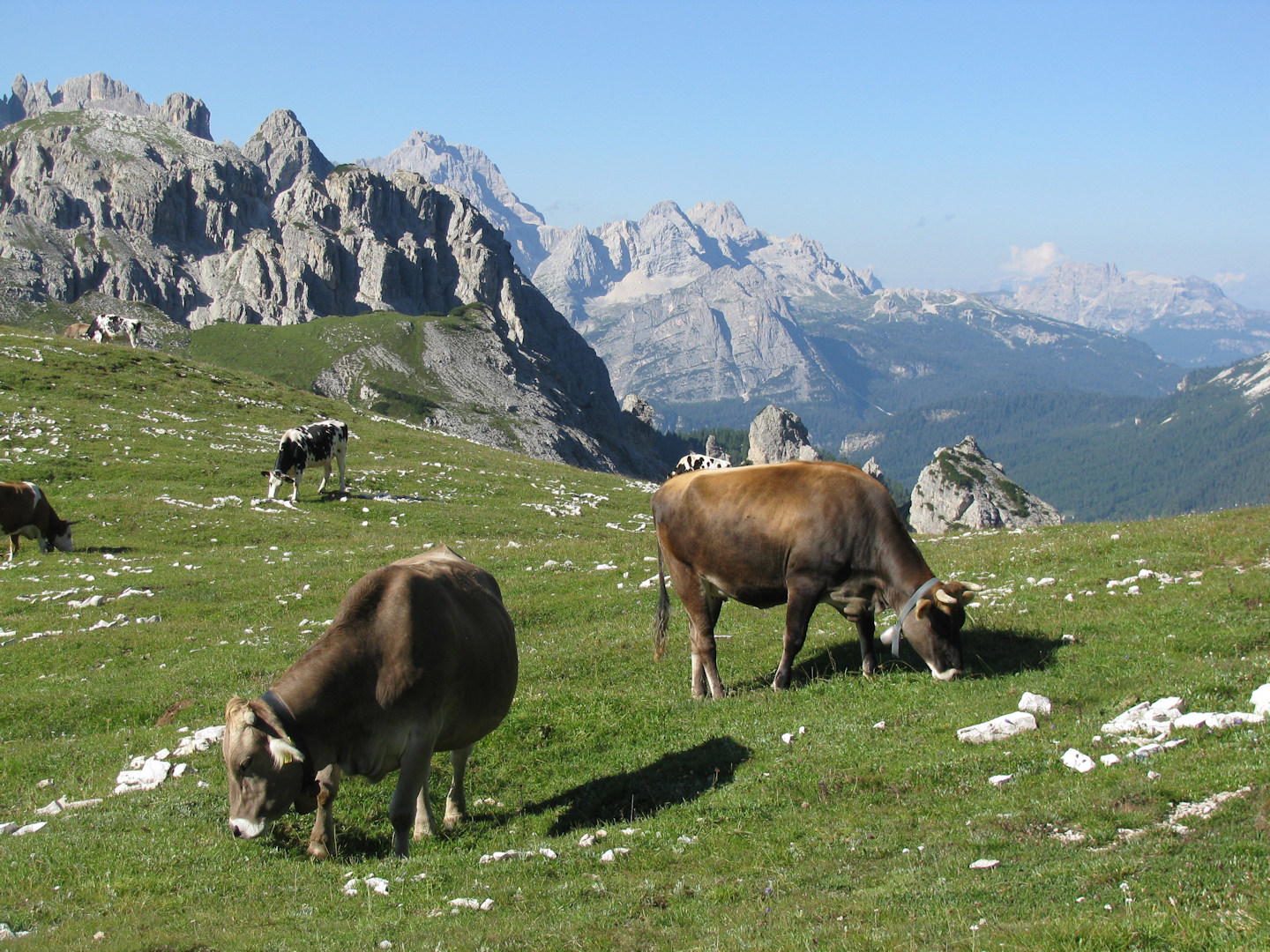 Dolomiti di Sesto - Cadini di Misurina
