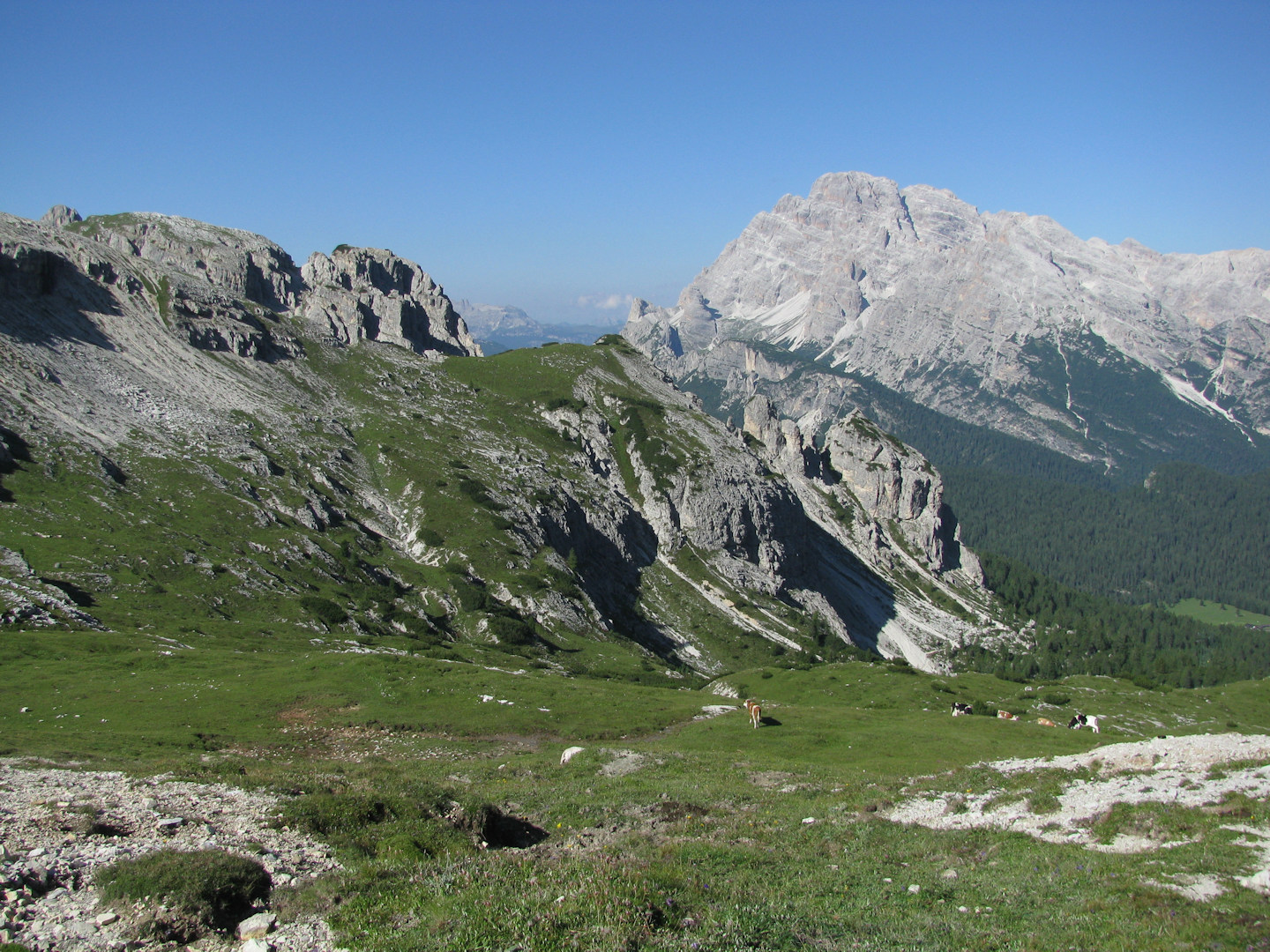 Dolomiti di Sesto - Cadini di Misurina