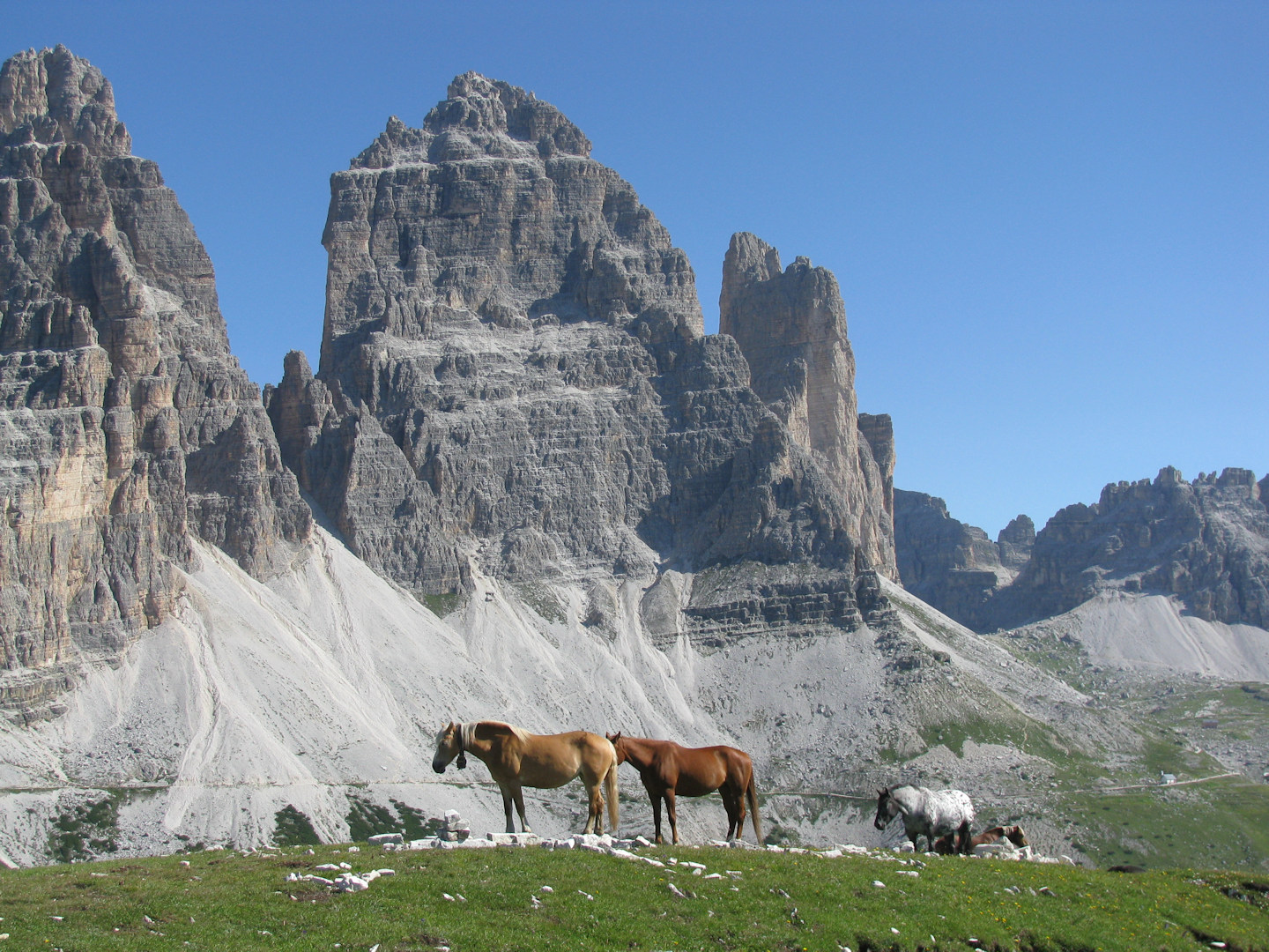 Dolomiti di Sesto - Cadini di Misurina