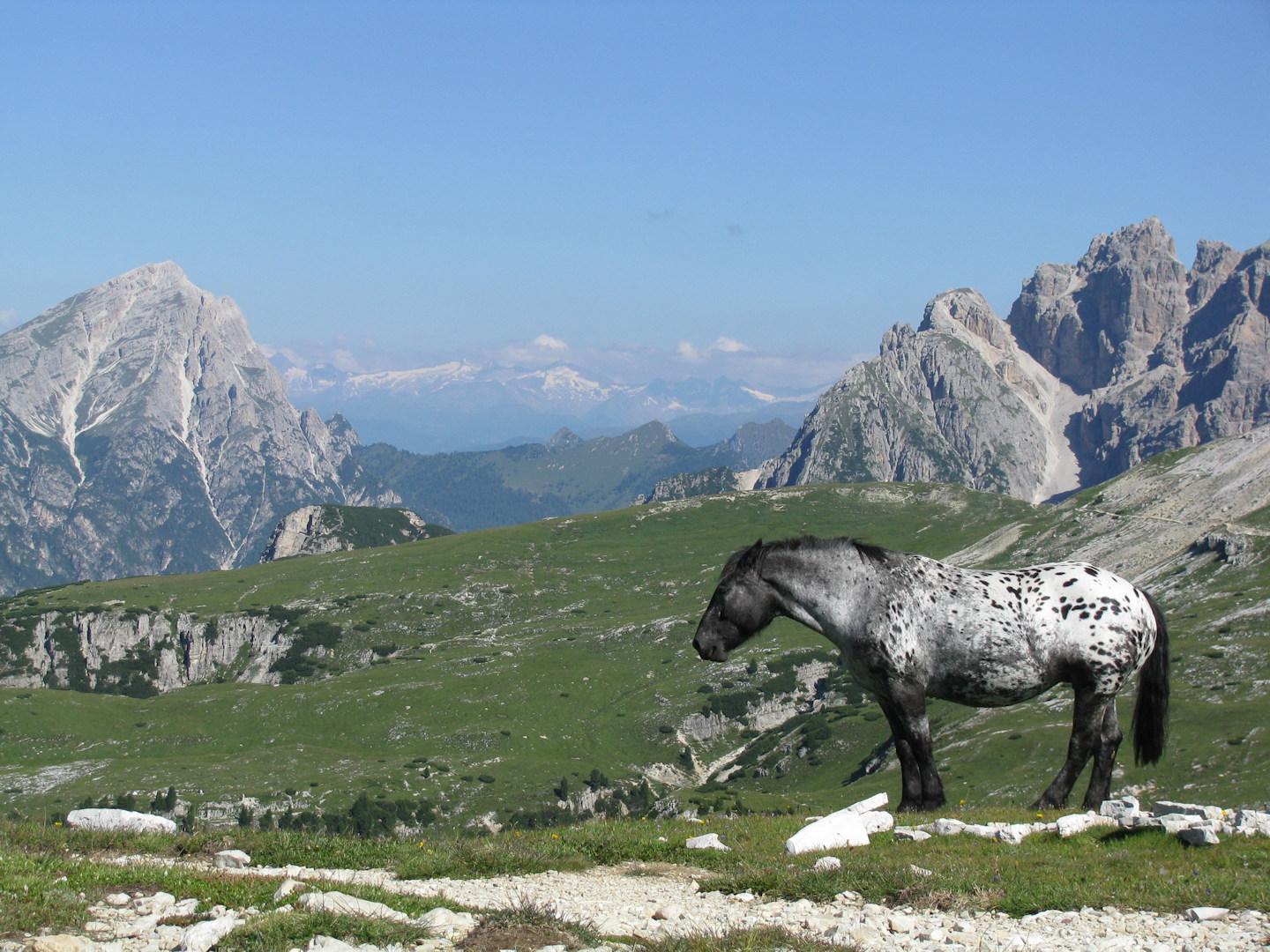 Dolomiti di Sesto - Cadini di Misurina