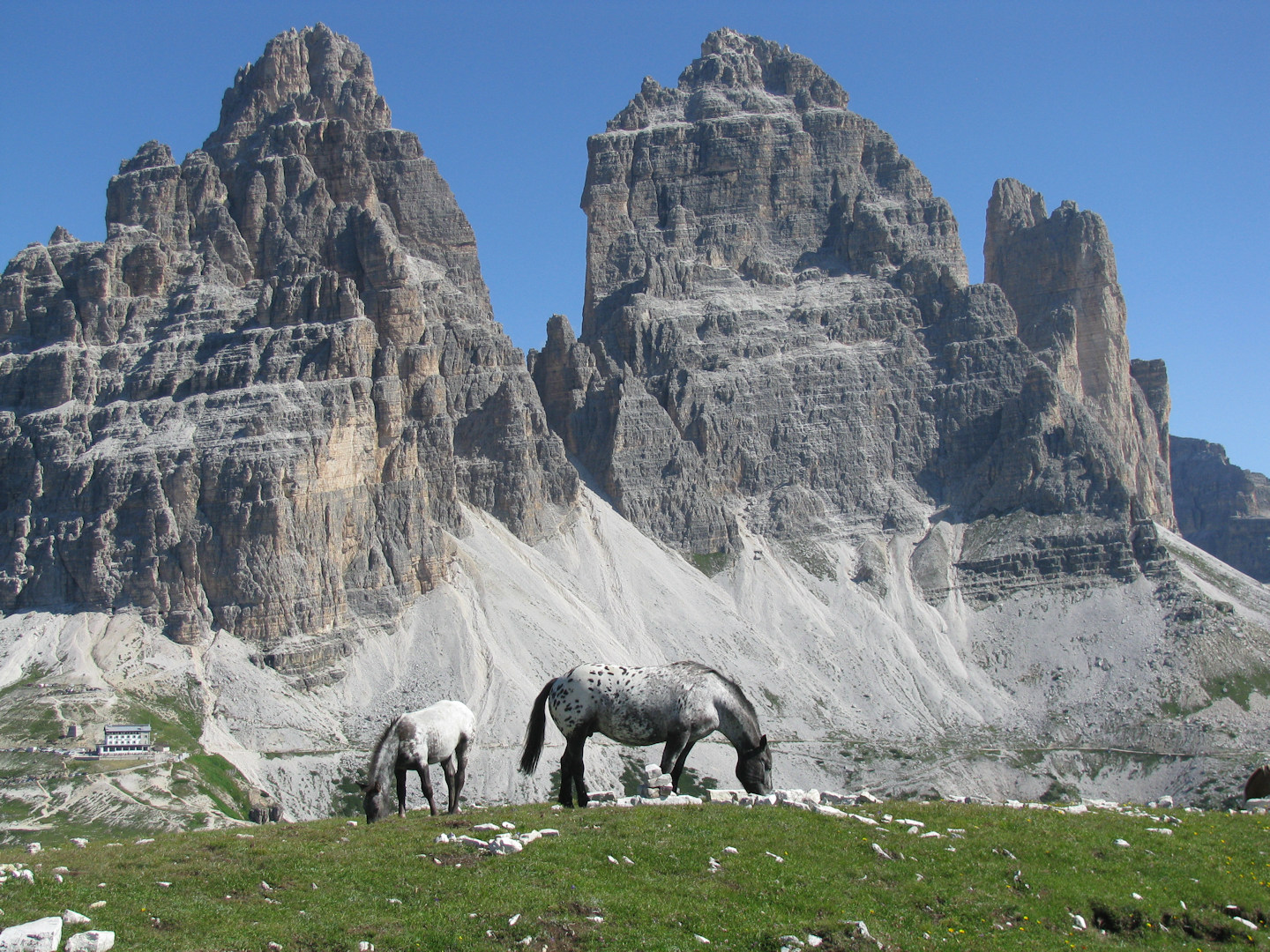 Dolomiti di Sesto - Cadini di Misurina