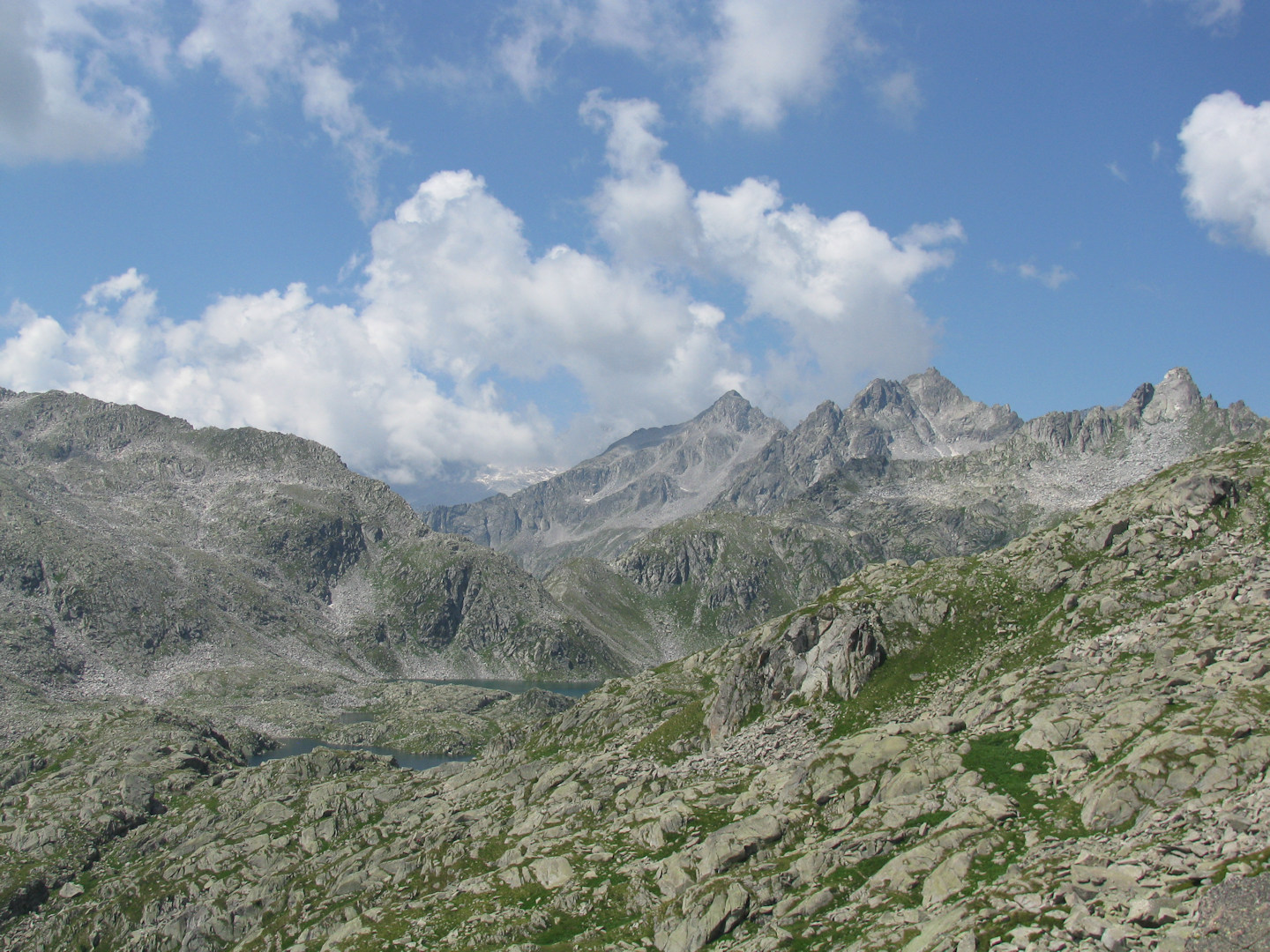 IMG_1565