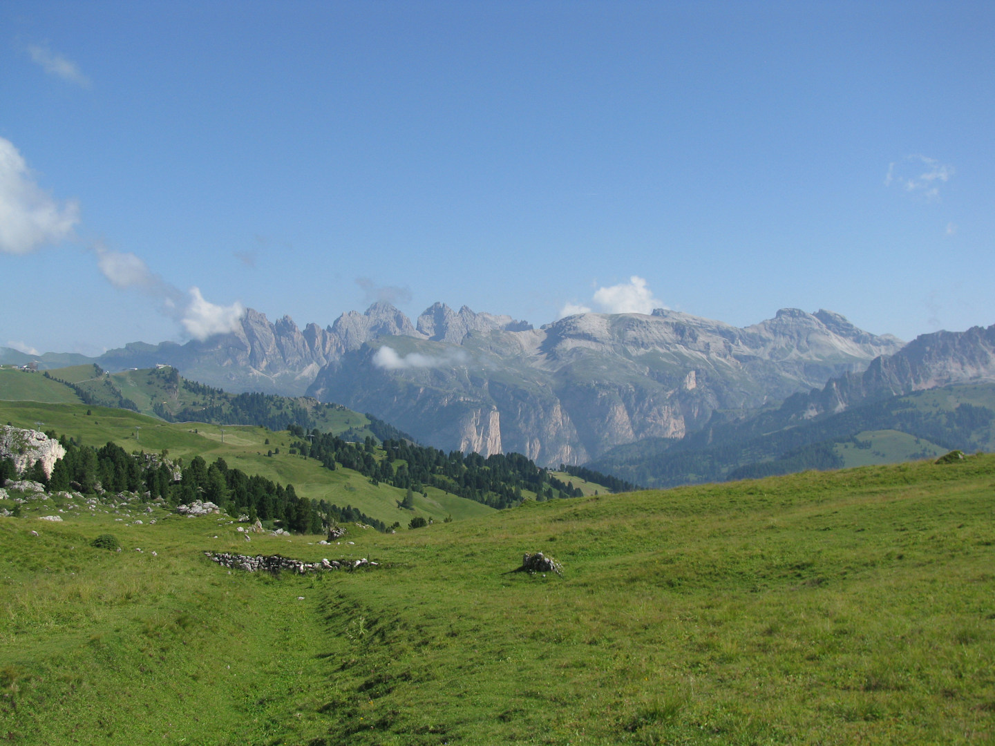 IMG_1928