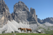 Dolomiti di Sesto - Cadini di Misurina