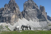 Dolomiti di Sesto - Cadini di Misurina