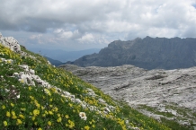 Dolomiti di Brenta - Sentiero Alfredo Benini