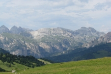 IMG_1905