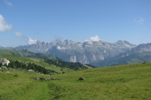 IMG_1928
