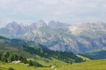P1030937