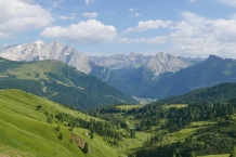 P1030939
