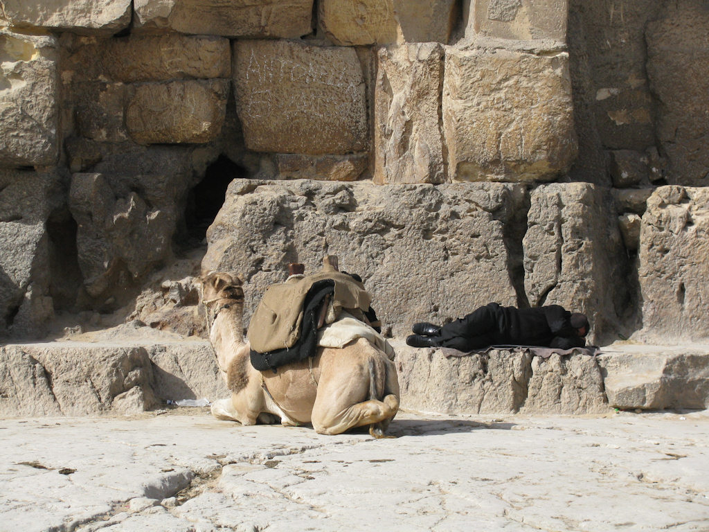 Giza