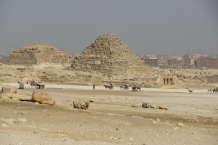 Giza