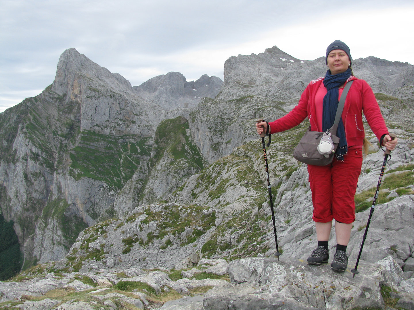 Picos de Europa
