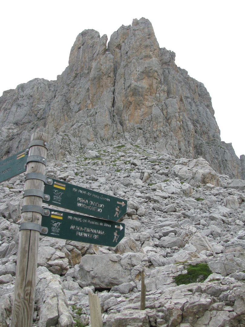 Picos de Europa
