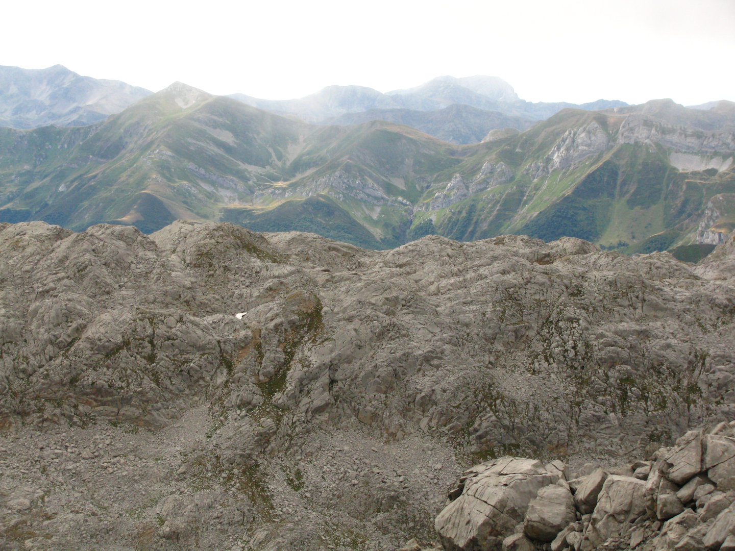 Picos de Europa