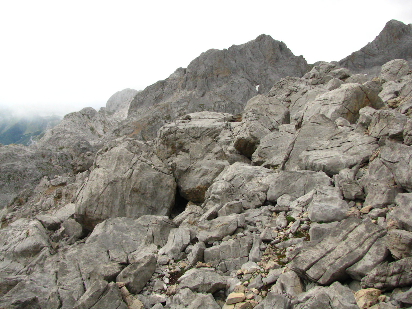 Picos de Europa