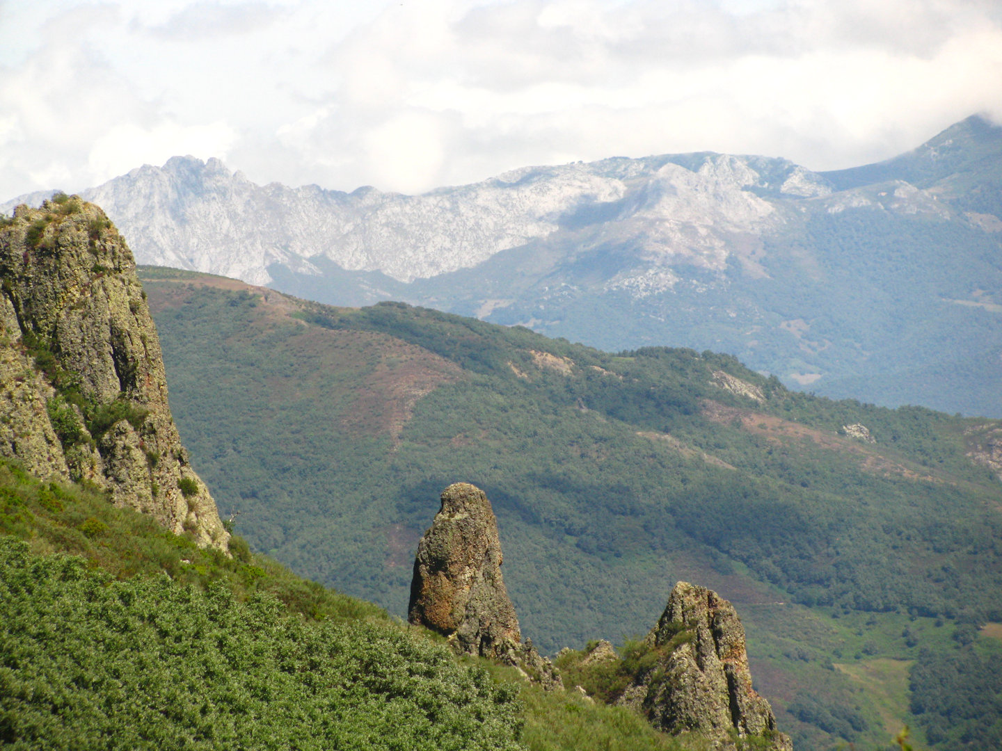 Picos de Europa