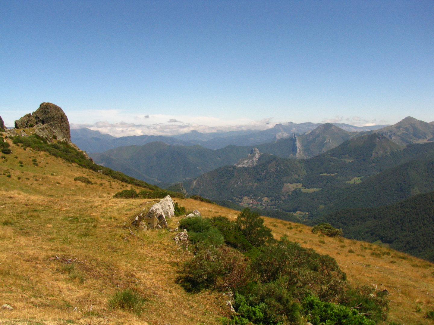 Picos de Europa