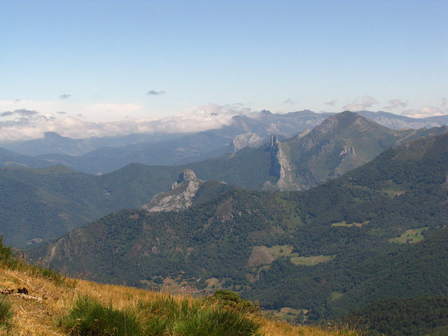 Picos de Europa