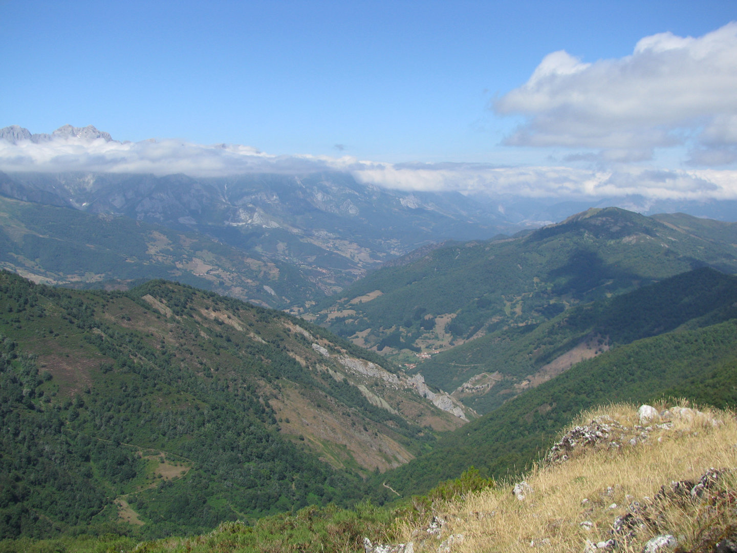 Picos de Europa