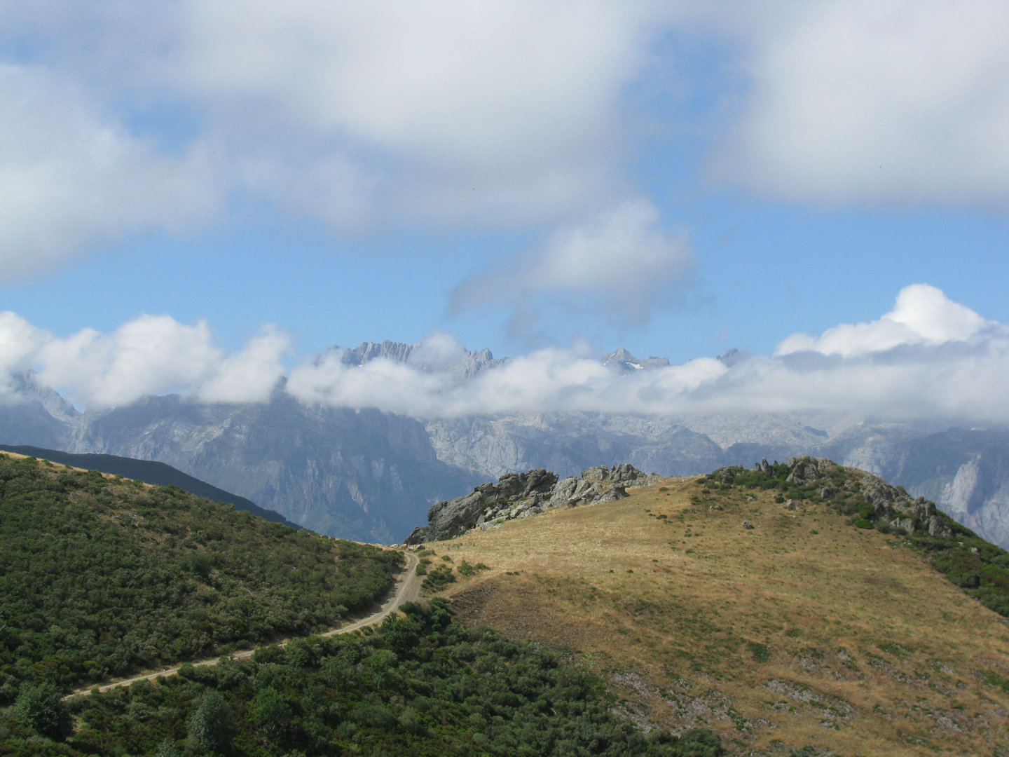 Picos de Europa