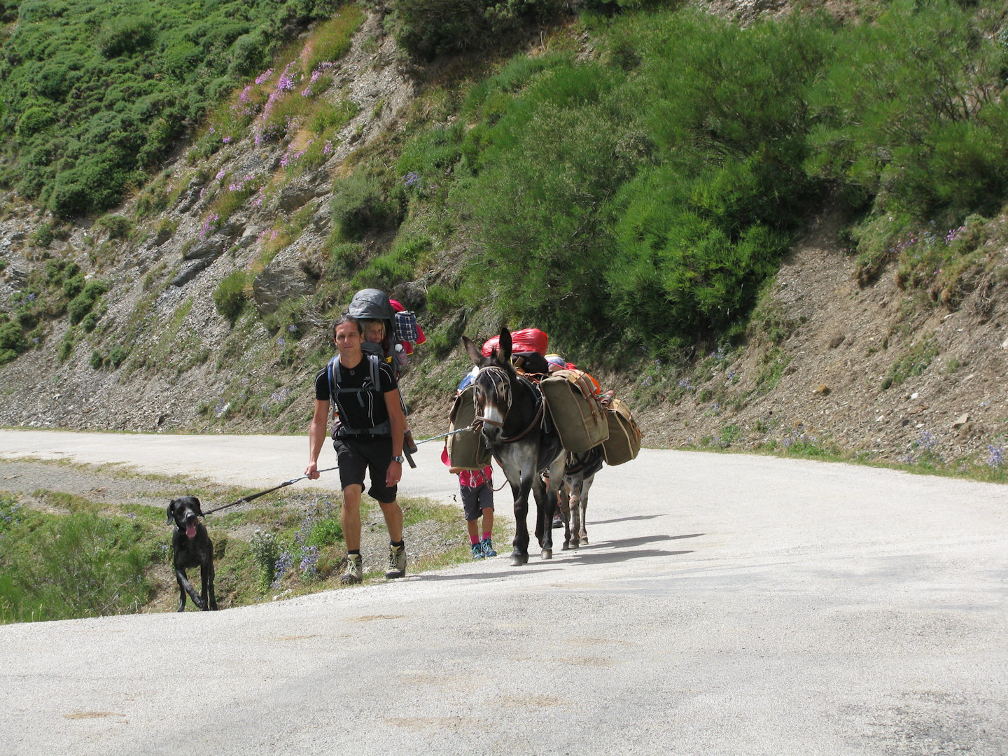 Picos de Europa