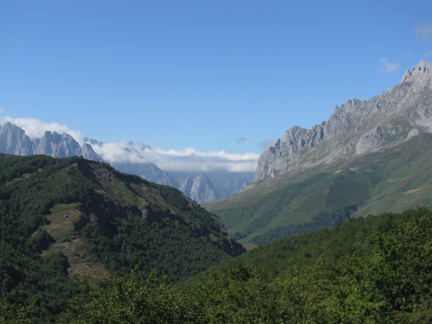 Picos de Europa