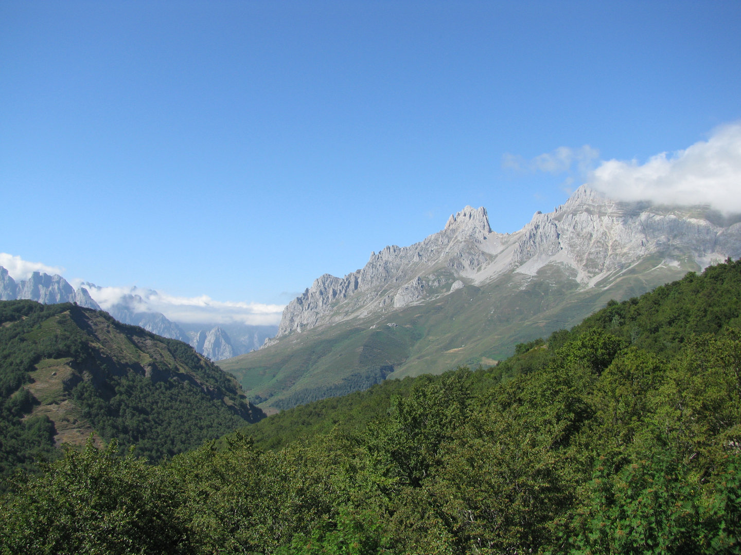 Picos de Europa