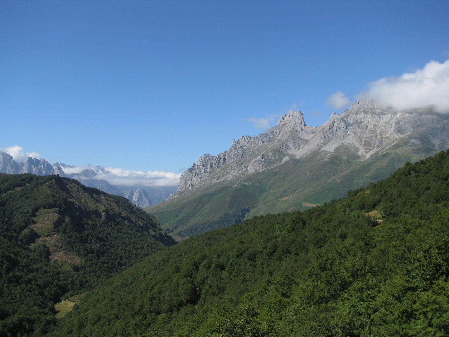 Picos de Europa