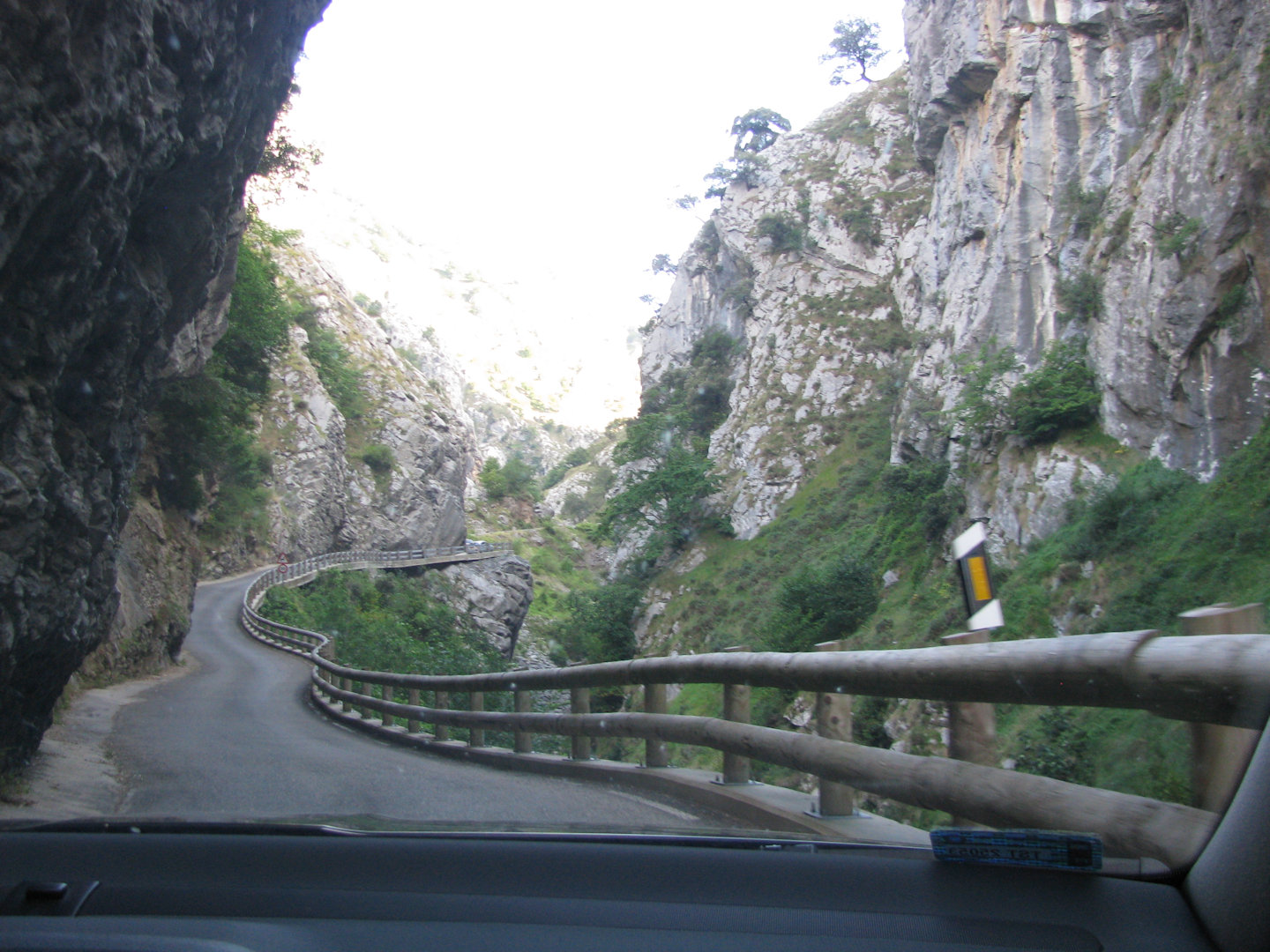 Picos de Europa