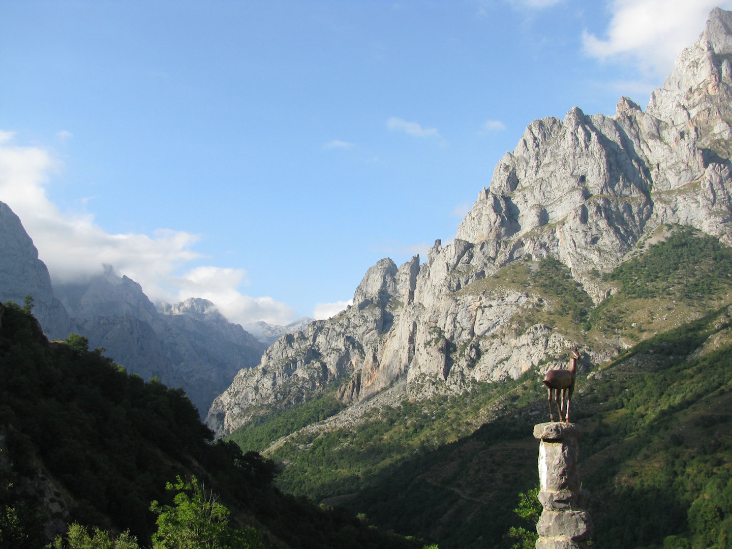 Picos de Europa