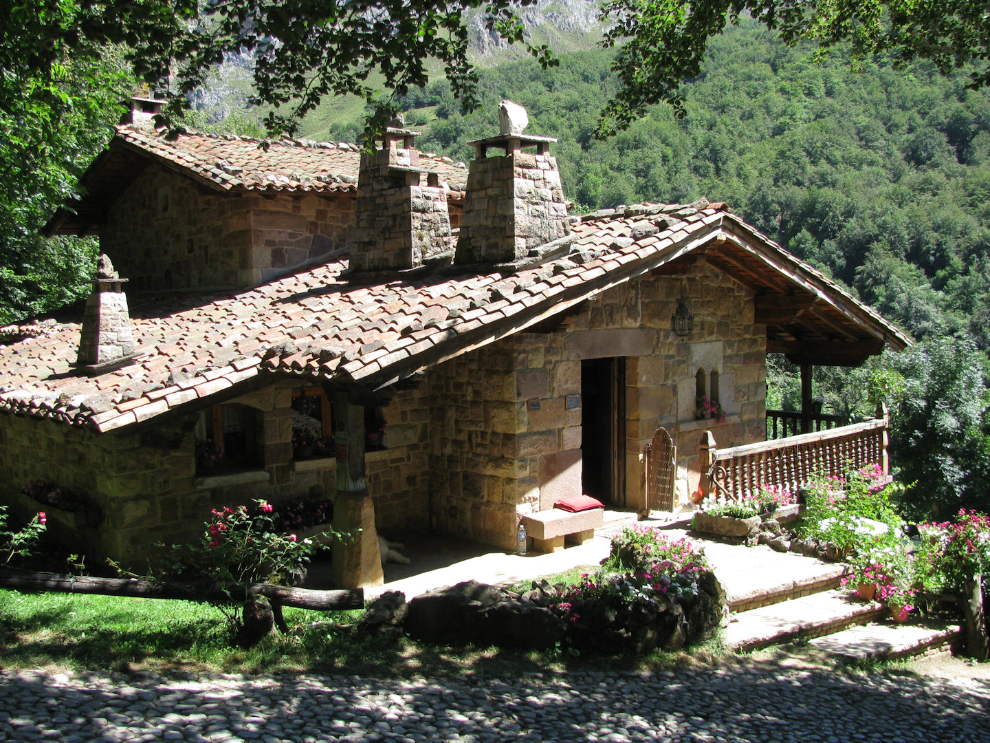 Picos de Europa