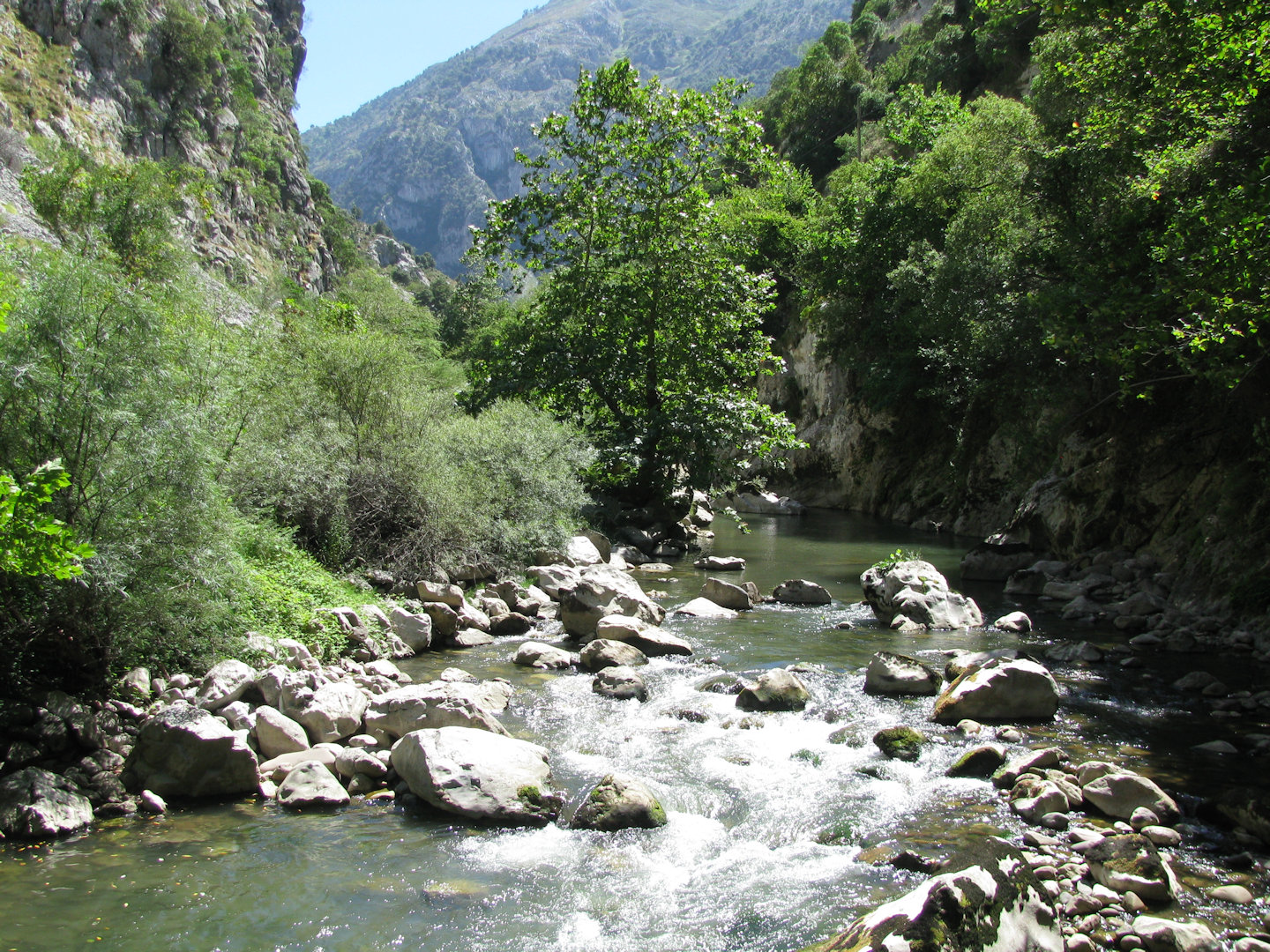 Picos de Europa
