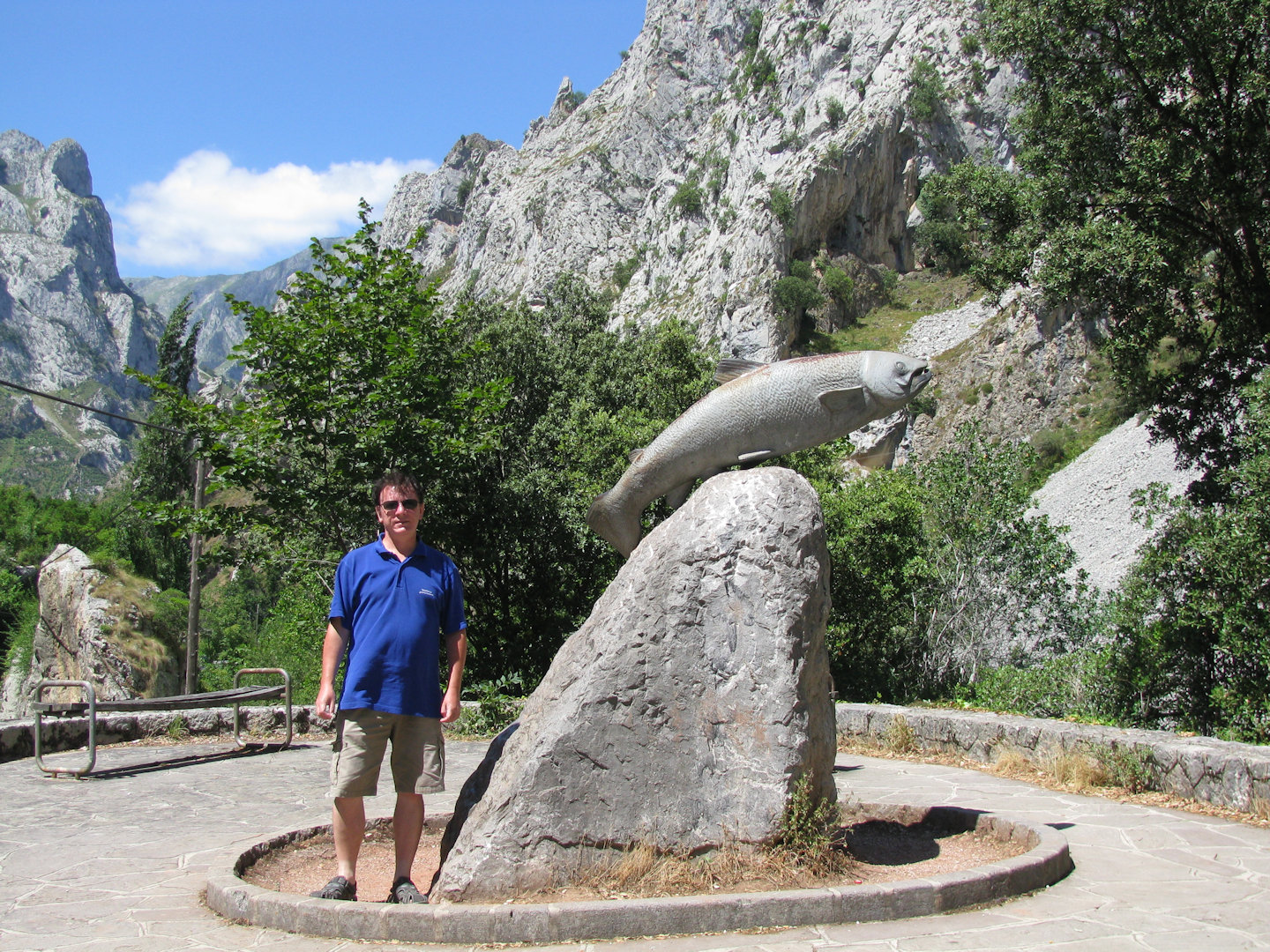 Picos de Europa