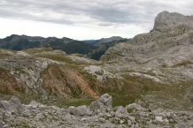 Picos de Europa