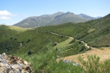 Picos de Europa