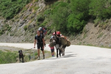 Picos de Europa