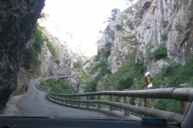 Picos de Europa
