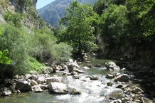 Picos de Europa