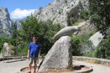 Picos de Europa