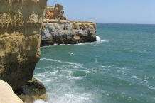 IMG_3527
