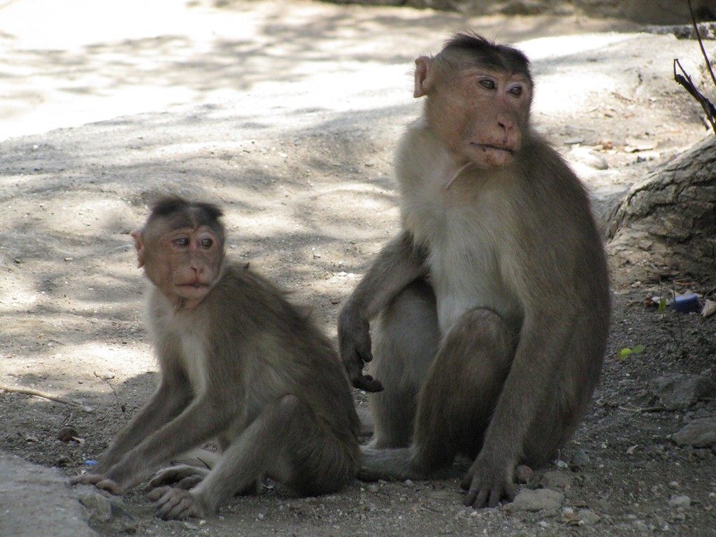 Wyspa Elephanta