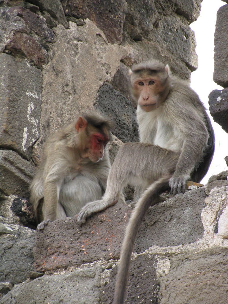 Daulatabad
