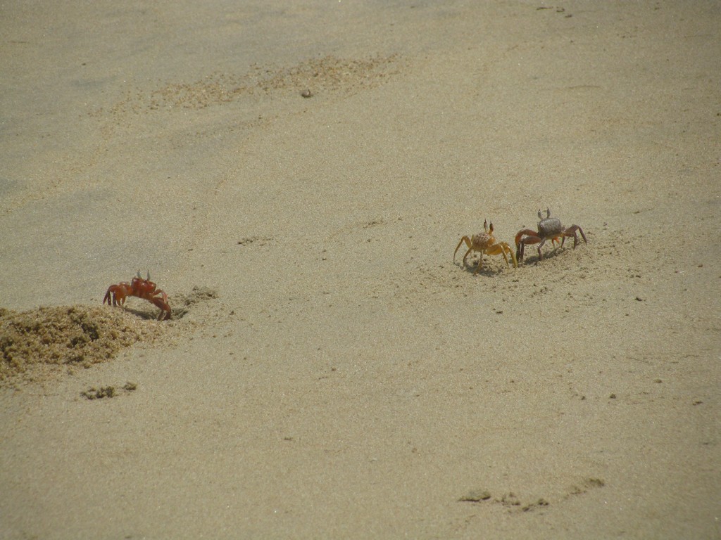 IMG_2853