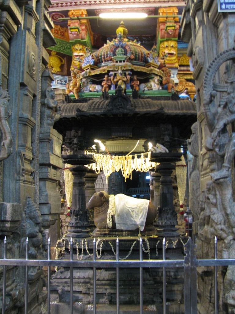 IMG_3204