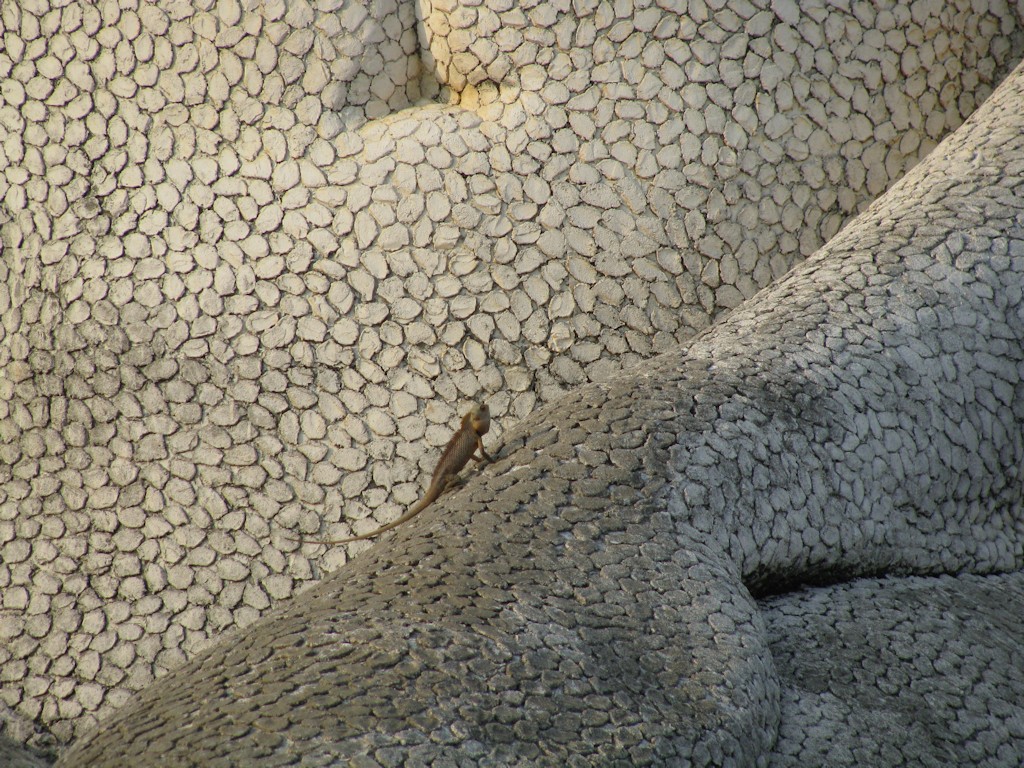 IMG_3507